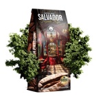 Fusion Salvador Fazenda Roja, zrnková káva, Arabica 75% / Robusta 25 %, 1 kg_obr2